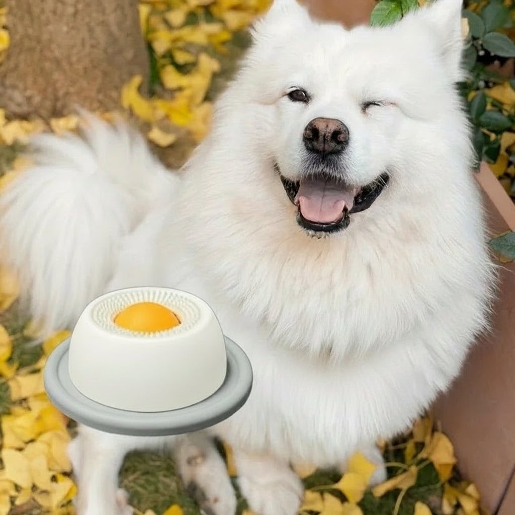 Interactive Slow Feeder Lick Mat for Dogs and cats