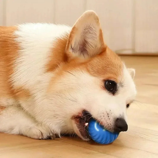 Smart Ball Dog Toy