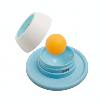 Interactive Slow Feeder Lick Mat for Dogs and cats