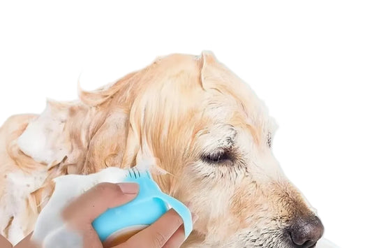 Silicone Dog and Cat Pet Bath Massage Brush with Shampoo Dispenser