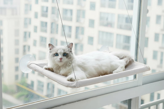 Cat Window Hammock