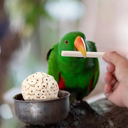 Natural Wooden Parrot Chew Ball Toy