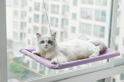 Cat Window Hammock