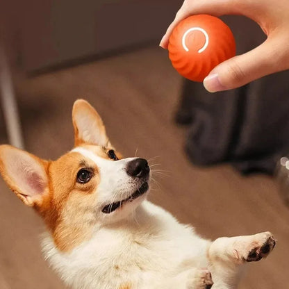 Smart Ball Dog Toy