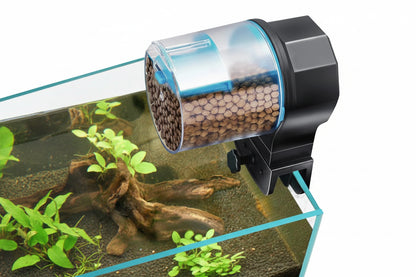Automatic Feeding Fish Tank with Timer